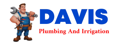 Trusted plumber in DUFUR